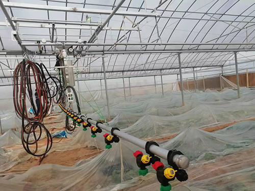 如何防 治溫室育苗的常見病害？